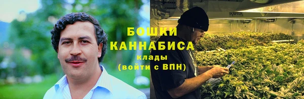 ГАЛЛЮЦИНОГЕННЫЕ ГРИБЫ Переславль-Залесский