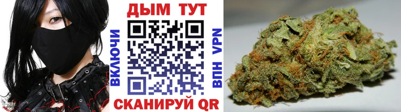 Каннабис сатива  mega ссылка  Льгов  купить наркотики сайты 